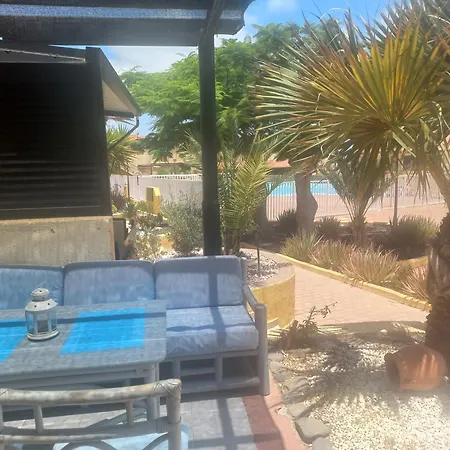 Oasis By The Pool